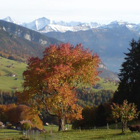 Hotel Rothorn Vintage-Style Sigriswil Extérieur photo