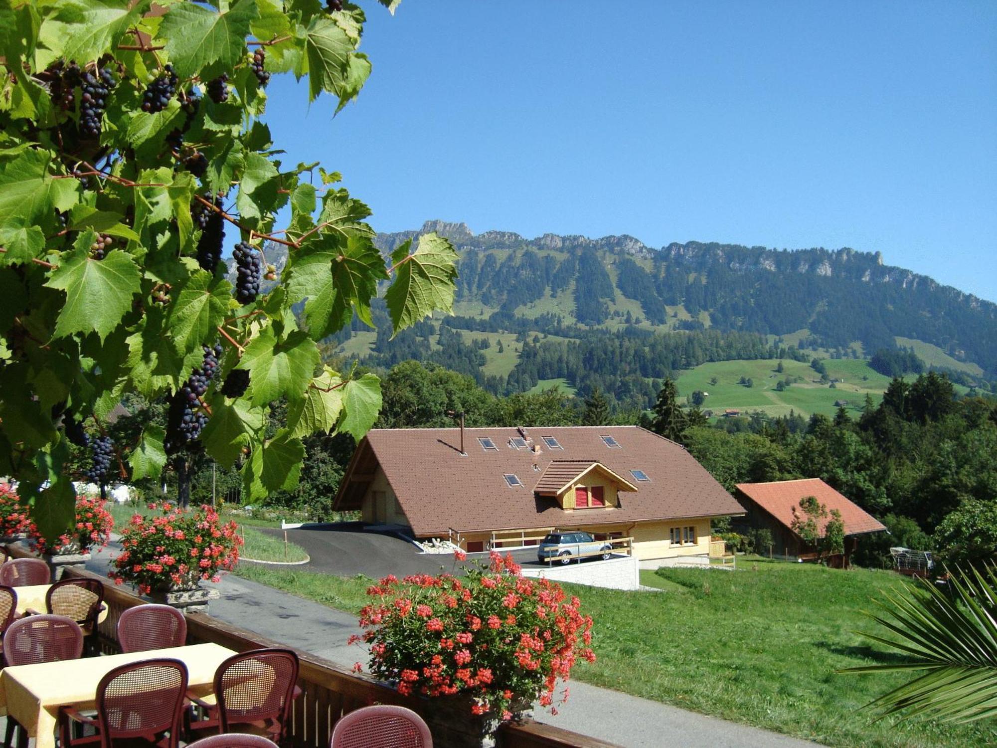 Hotel Rothorn Vintage-Style Sigriswil Extérieur photo